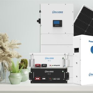 Pin Lưu Trữ Hinaess 5.12kWH 51.2V 100Ah